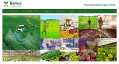Desktop Screenshot of hayleysagriculture.com